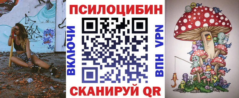 mega маркетплейс  Петушки  Галлюциногенные грибы Cubensis  как найти закладки 